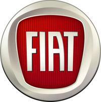 Fiat, 500, Bravo, Doblo, Ducato, Punto, Fiat Idea, Scudo, Autohändler